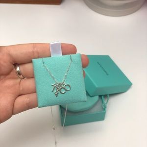 Tiffany & Co. Never Worn T&CO Initial Necklace